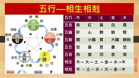 土剋金|五行相剋:又作“五行相勝”，指木、火、土、金、水五種。